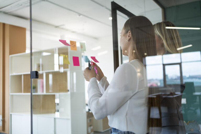 Product Manager (PM)